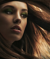 网络短信免费版